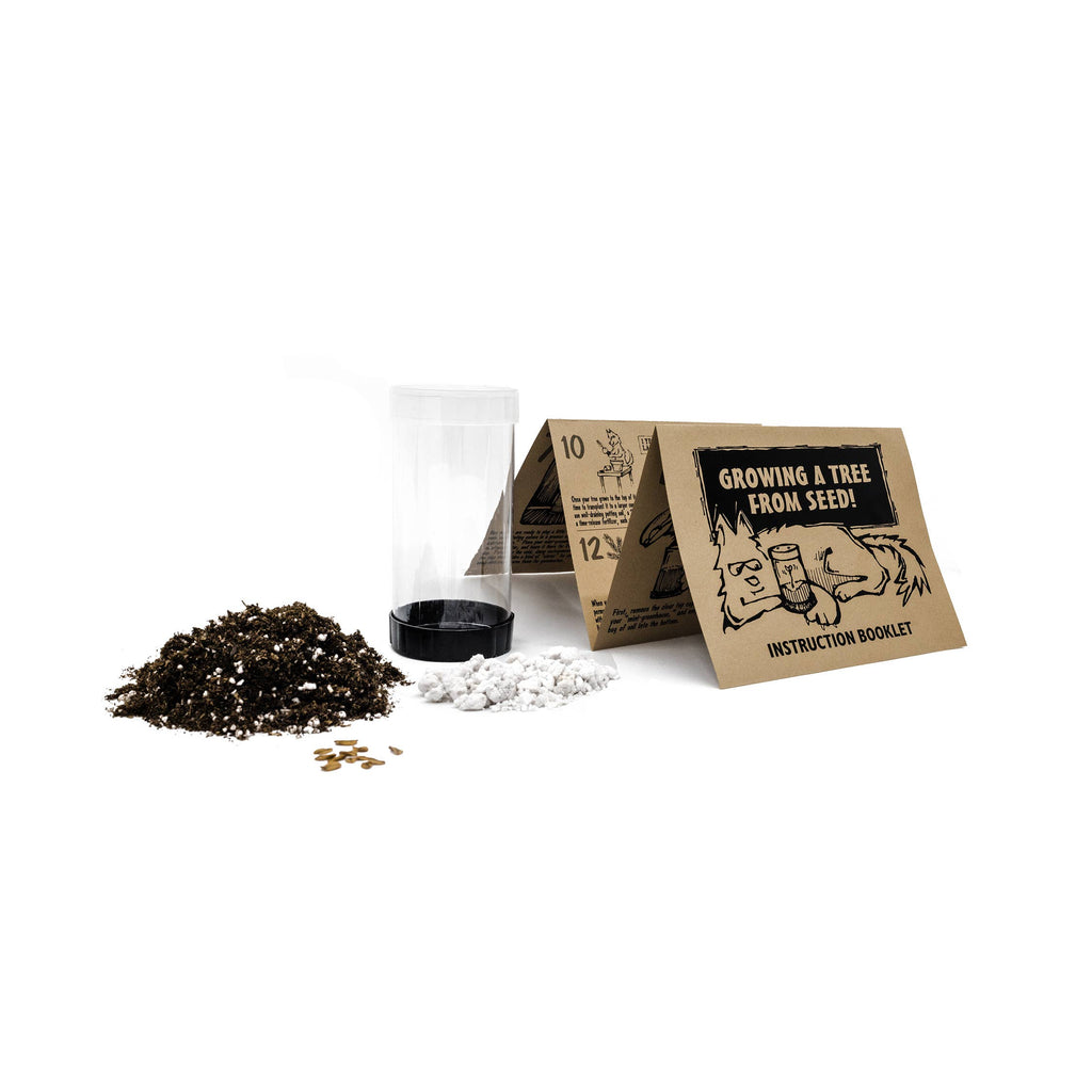 Blue Spruce | Seed Grow Kit