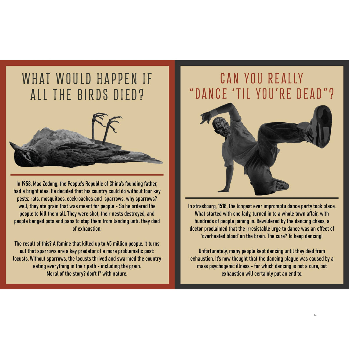 Curious Man Thoughts Gift Books - Funny Men's Gifts