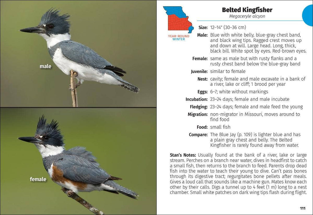 Birds of Missouri Field Guide 2e