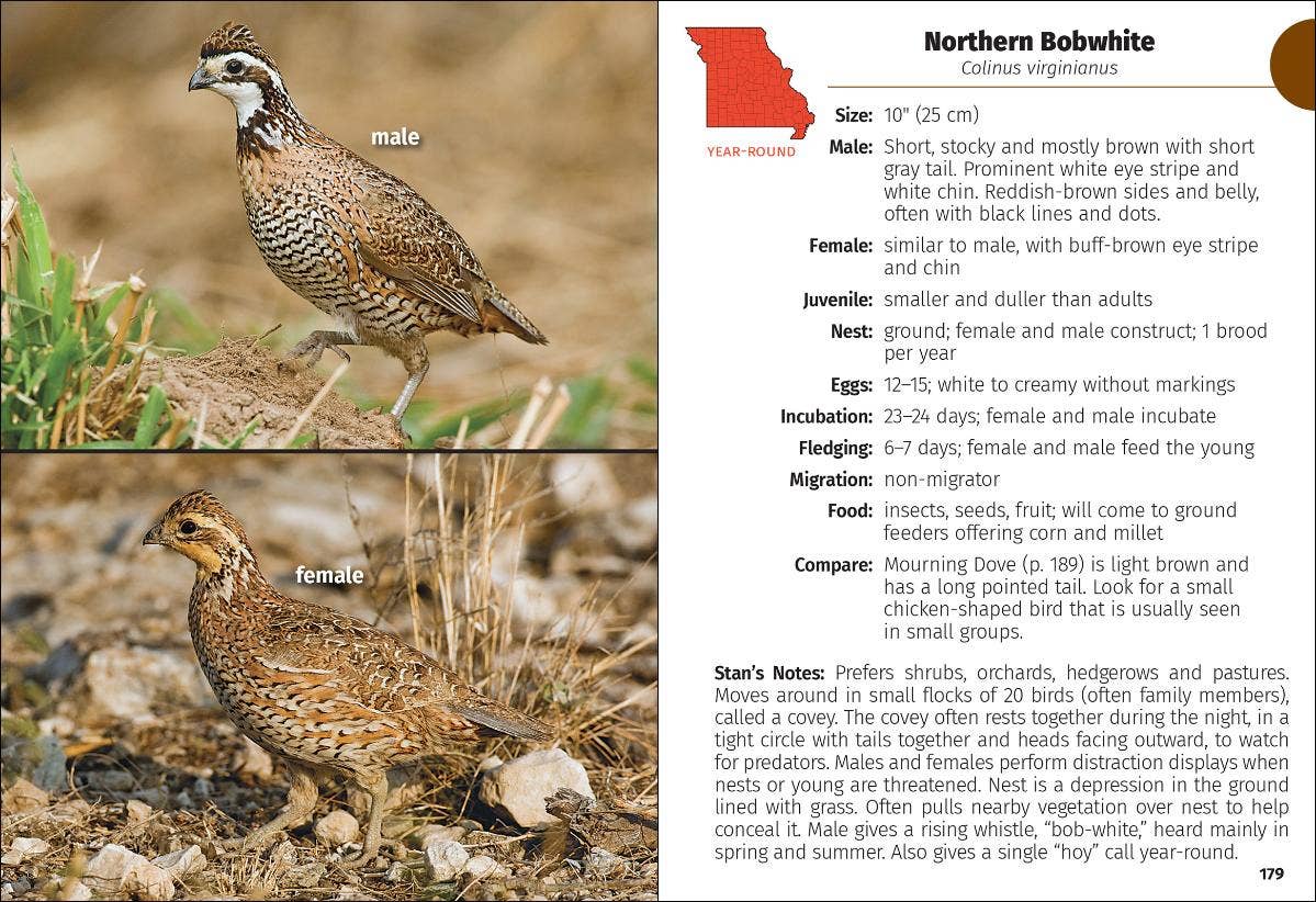 Birds of Missouri Field Guide 2e