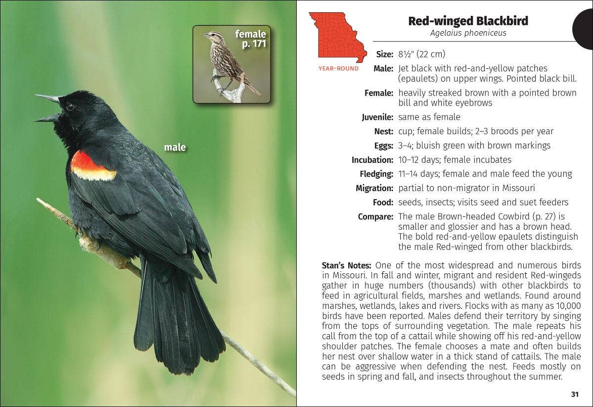 Birds of Missouri Field Guide 2e