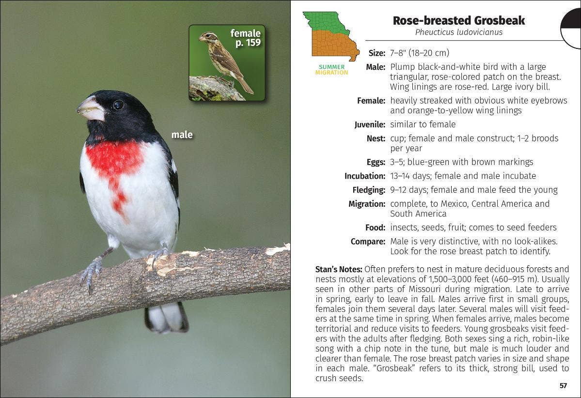 Birds of Missouri Field Guide 2e